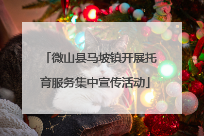微山县马坡镇开展托育服务集中宣传活动