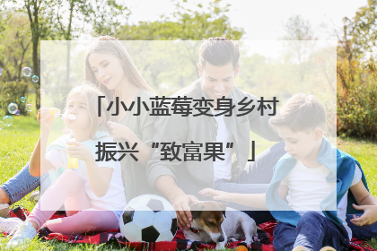 小小蓝莓变身乡村振兴“致富果”