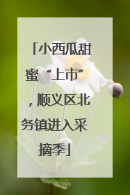 小西瓜甜蜜“上市”，顺义区北务镇进入采摘季