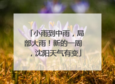 小雨到中雨，局部大雨！新的一周，沈阳天气有变