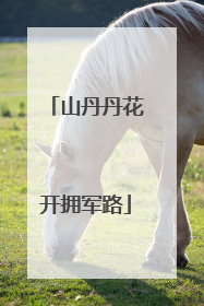 山丹丹花开拥军路