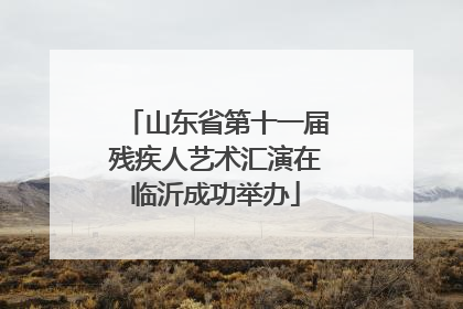 山东省第十一届残疾人艺术汇演在临沂成功举办