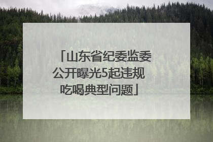 山东省纪委监委公开曝光5起违规吃喝典型问题