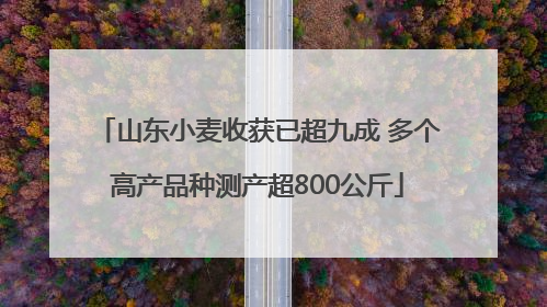 山东小麦收获已超九成 多个高产品种测产超800公斤