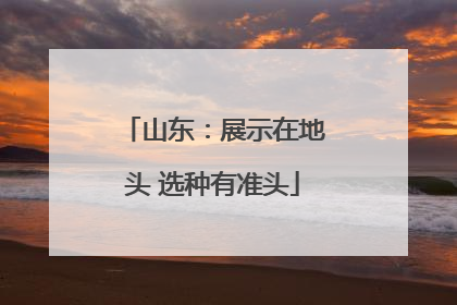 山东：展示在地头 选种有准头