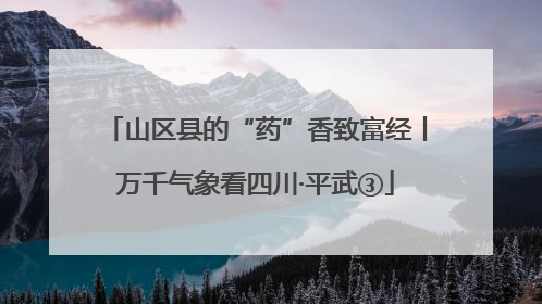 山区县的“药”香致富经丨万千气象看四川·平武③