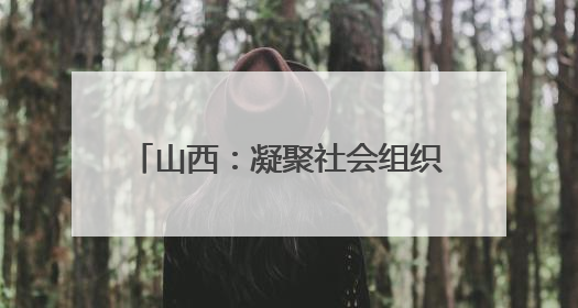 山西：凝聚社会组织“她力量”，做好服务基层“家”文章