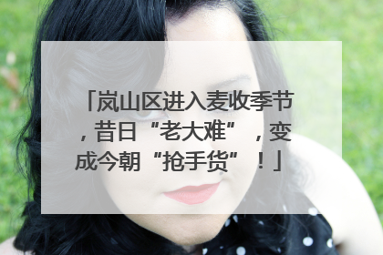 岚山区进入麦收季节，昔日“老大难”，变成今朝“抢手货”！