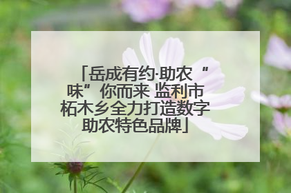 岳成有约·助农“味”你而来 监利市柘木乡全力打造数字助农特色品牌
