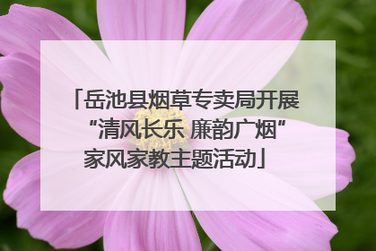 岳池县烟草专卖局开展“清风长乐 廉韵广烟”家风家教主题活动