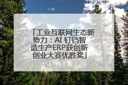 工业互联网生态新势力：AI 钉铛智造生产ERP获创新创业大赛优胜奖