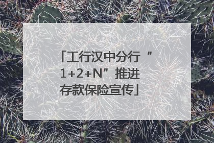 工行汉中分行“1+2+N”推进存款保险宣传