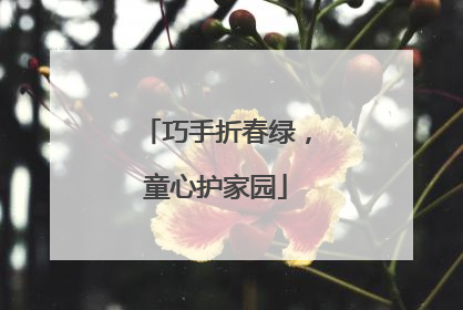 巧手折春绿，童心护家园
