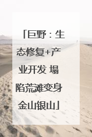 巨野：生态修复+产业开发 塌陷荒滩变身金山银山