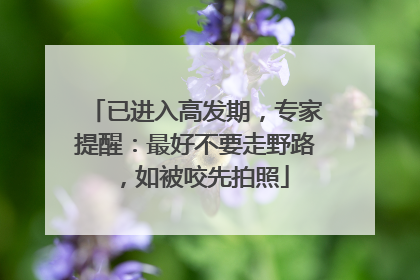 已进入高发期，专家提醒：最好不要走野路，如被咬先拍照