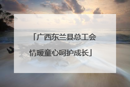广西东兰县总工会情暖童心呵护成长