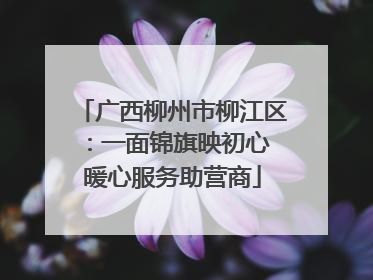 广西柳州市柳江区：一面锦旗映初心 暖心服务助营商