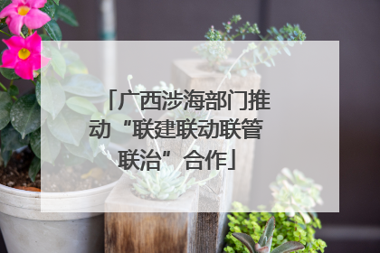 广西涉海部门推动“联建联动联管联治”合作