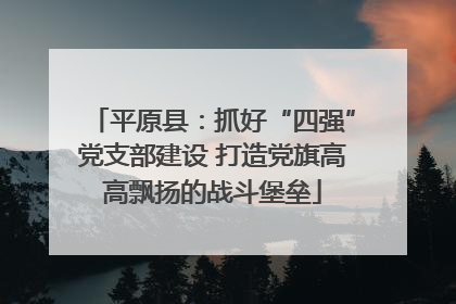 平原县：抓好“四强”党支部建设 打造党旗高高飘扬的战斗堡垒