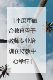 平度市融合教育骨干教师专业培训在特教中心举行