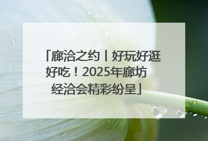 廊洽之约丨好玩好逛好吃！2025年廊坊经洽会精彩纷呈