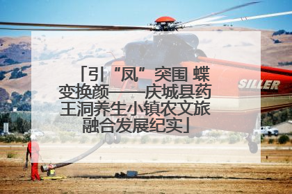 引“凤”突围 蝶变换颜——庆城县药王洞养生小镇农文旅融合发展纪实