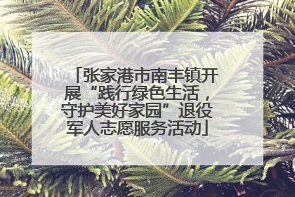 张家港市南丰镇开展“践行绿色生活，守护美好家园”退役军人志愿服务活动