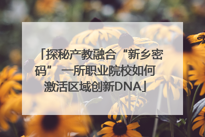 探秘产教融合“新乡密码” 一所职业院校如何激活区域创新DNA