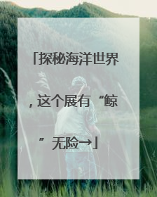 探秘海洋世界，这个展有“鲸”无险→