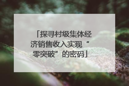 探寻村级集体经济销售收入实现“零突破”的密码