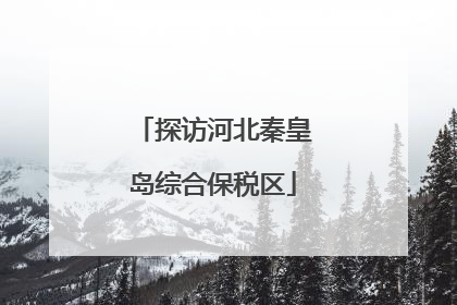 探访河北秦皇岛综合保税区
