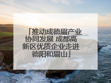 推动成德眉产业协同发展 成都高新区优质企业走进德阳和眉山