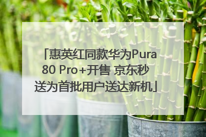 惠英红同款华为Pura 80 Pro+开售 京东秒送为首批用户送达新机
