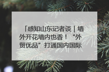 感知山东记者谈｜墙外开花墙内也香！“外贸优品”打通国内国际市场“旋转门”