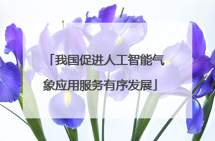 我国促进人工智能气象应用服务有序发展