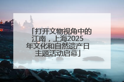 打开文物视角中的江南，上海2025年文化和自然遗产日主题活动启幕