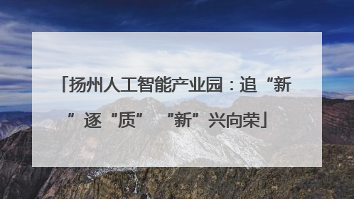 扬州人工智能产业园：追“新”逐“质” “新”兴向荣