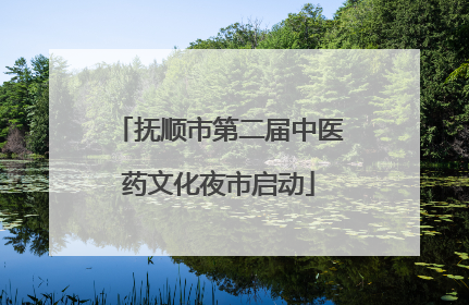 抚顺市第二届中医药文化夜市启动