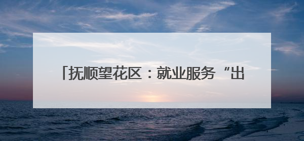 抚顺望花区：就业服务“出圈” 居民幸福“加码”