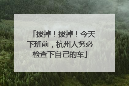 拔掉！拔掉！今天下班前，杭州人务必检查下自己的车