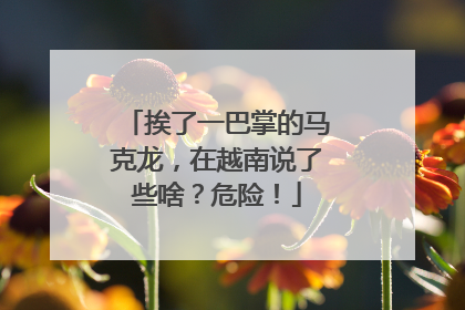 挨了一巴掌的马克龙，在越南说了些啥？危险！