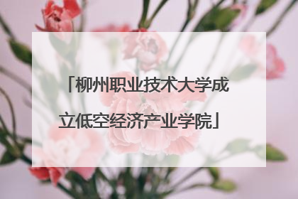柳州职业技术大学成立低空经济产业学院