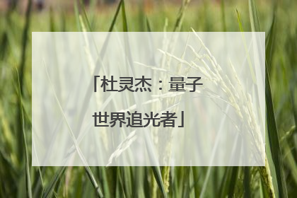 杜灵杰：量子世界追光者