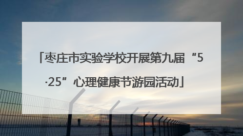 枣庄市实验学校开展第九届“5·25”心理健康节游园活动