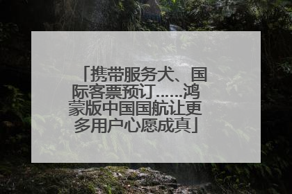 携带服务犬、国际客票预订……鸿蒙版中国国航让更多用户心愿成真