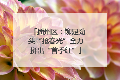 播州区：铆足劲头“抢春光”全力拼出“首季红”
