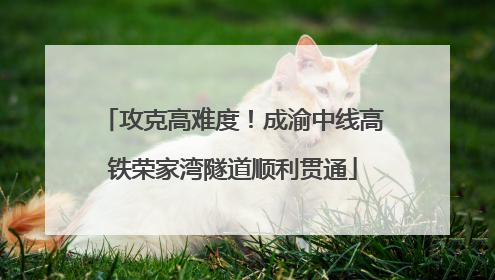 攻克高难度！成渝中线高铁荣家湾隧道顺利贯通