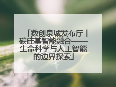 数创泉城发布厅丨碳硅基智能融合——生命科学与人工智能的边界探索