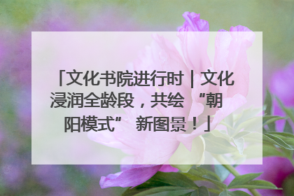 文化书院进行时｜文化浸润全龄段，共绘 “朝阳模式” 新图景！
