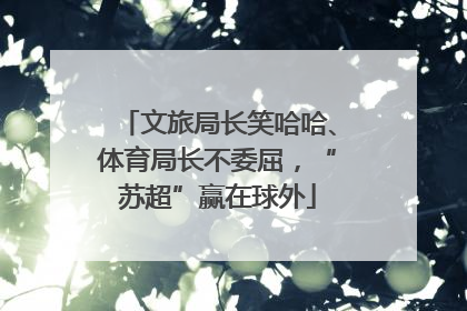 文旅局长笑哈哈、体育局长不委屈，“苏超”赢在球外